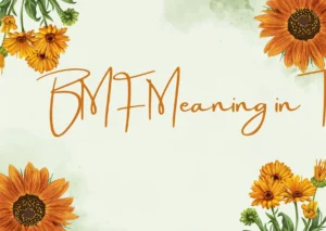 BMF Meaning in Text: Full Form, Origin, Uses & Examples