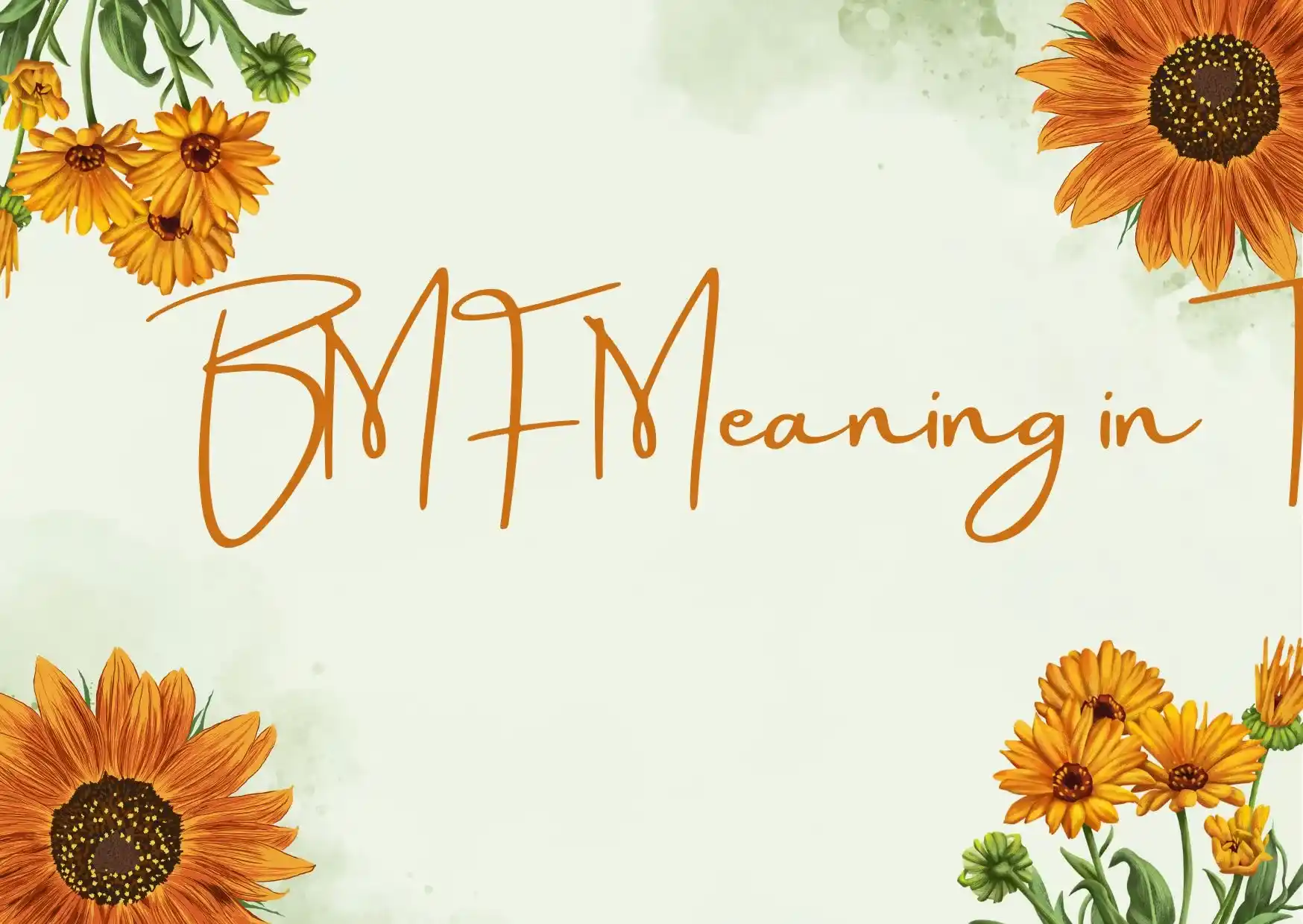 BMF Meaning in Text: Full Form, Origin, Uses & Examples