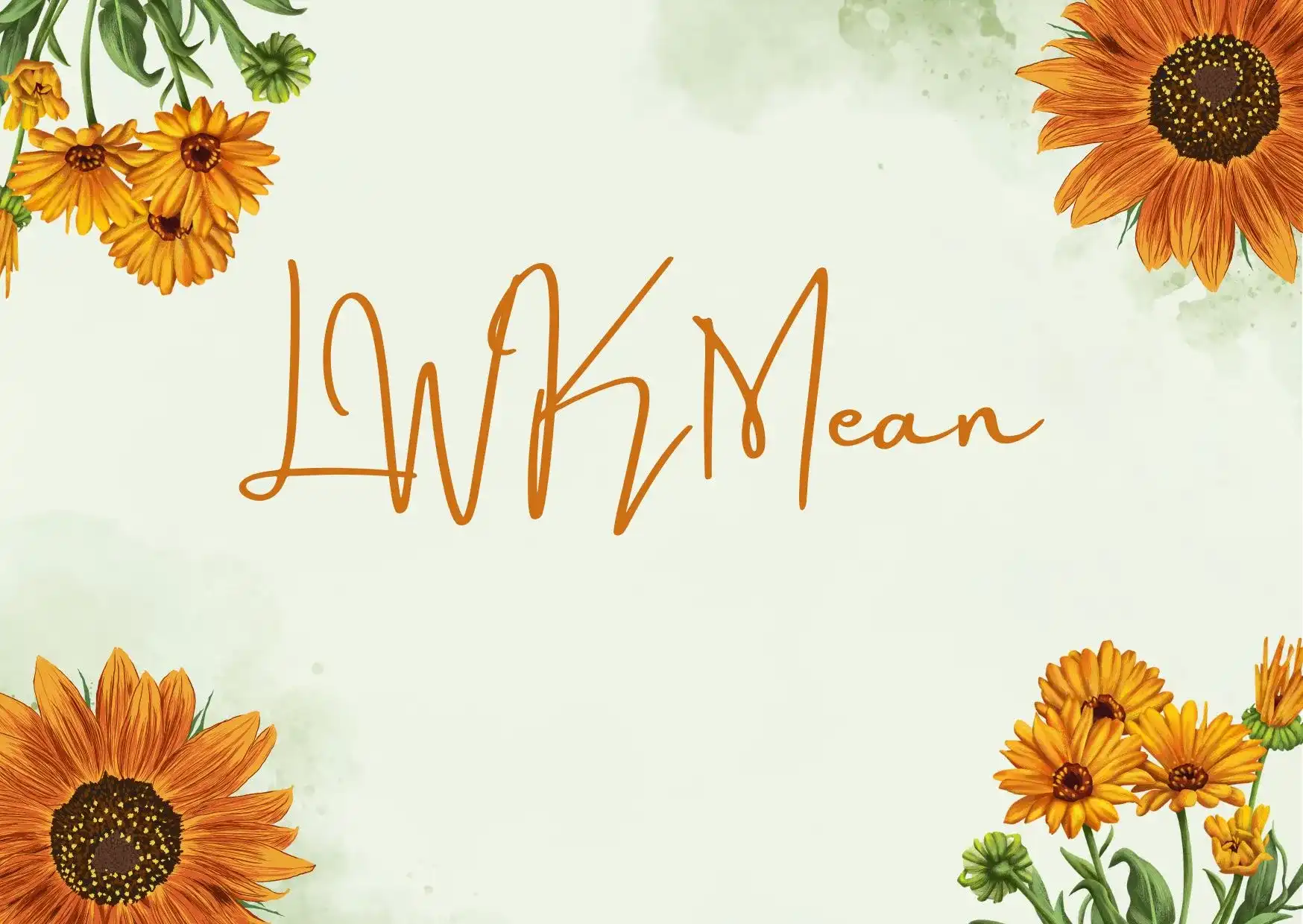 LWK Mean: Understanding What LWK Means in Digital Communication