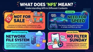 NFS Meaning in Text: What Does It Stand For in Different Contexts?